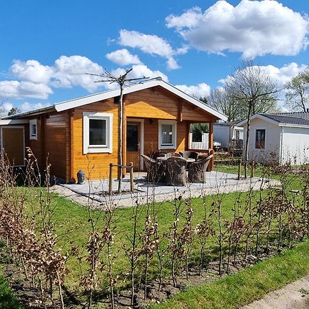 Nieuw - Luxe Blokhut Chalet In Bosrijke Omgeving Anloo Ngoại thất bức ảnh