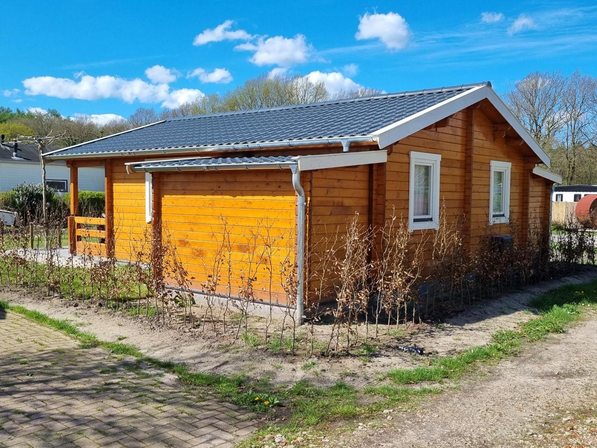 Nieuw - Luxe Blokhut Chalet In Bosrijke Omgeving Anloo Ngoại thất bức ảnh