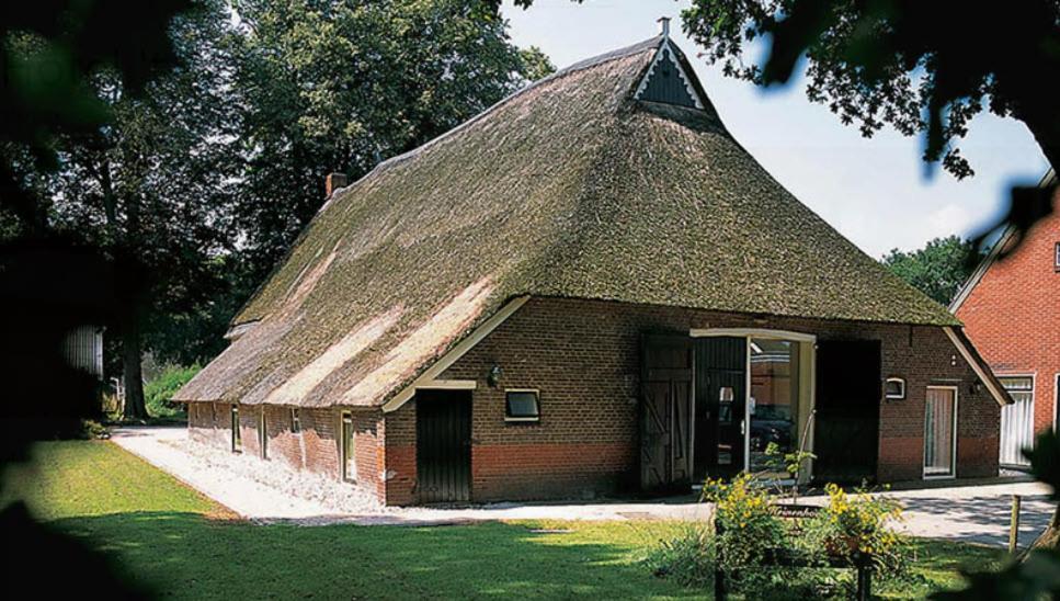 Nieuw - Luxe Blokhut Chalet In Bosrijke Omgeving Anloo Ngoại thất bức ảnh