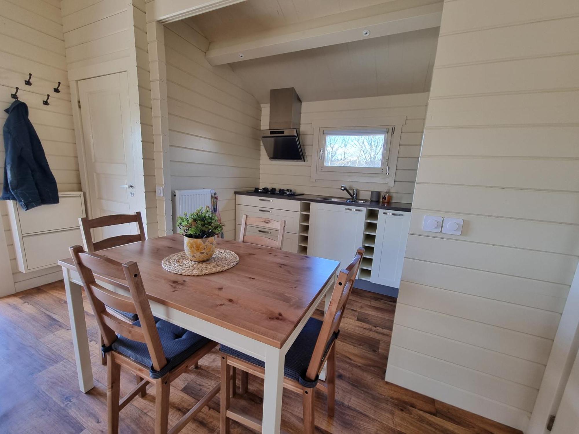 Nieuw - Luxe Blokhut Chalet In Bosrijke Omgeving Anloo Ngoại thất bức ảnh