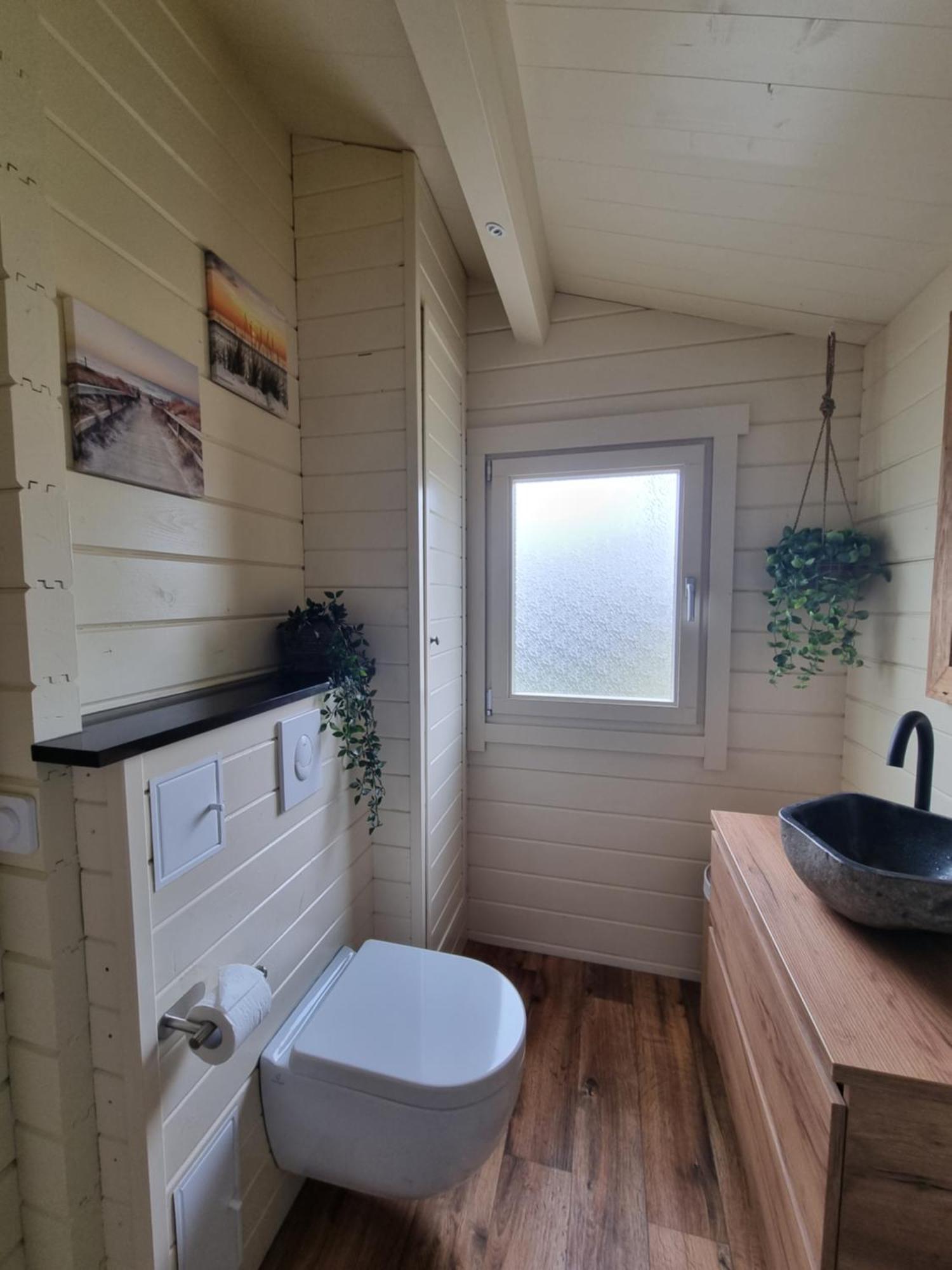 Nieuw - Luxe Blokhut Chalet In Bosrijke Omgeving Anloo Ngoại thất bức ảnh