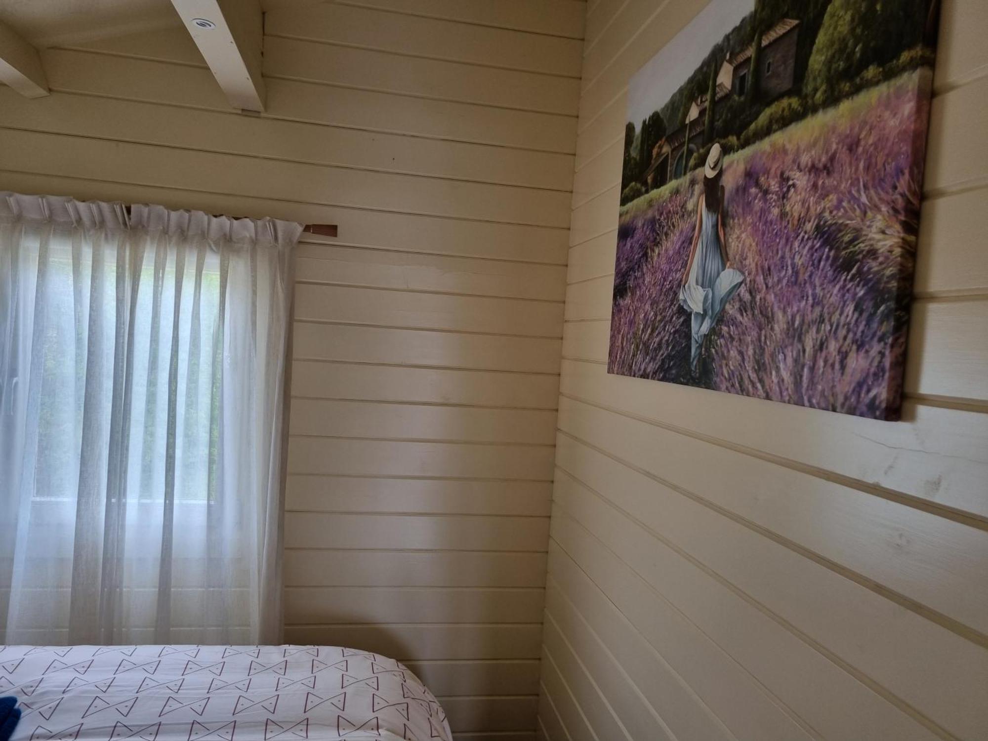 Nieuw - Luxe Blokhut Chalet In Bosrijke Omgeving Anloo Ngoại thất bức ảnh